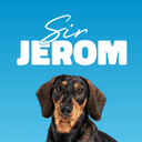 Profielfoto van Sir Jerom d’Anvers